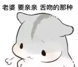 可爱仓鼠夫妇表情包