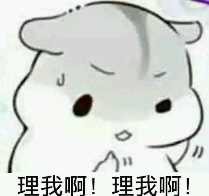 可爱仓鼠夫妇表情包