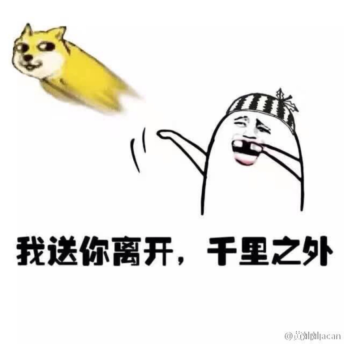 表情包 这个好喜欢