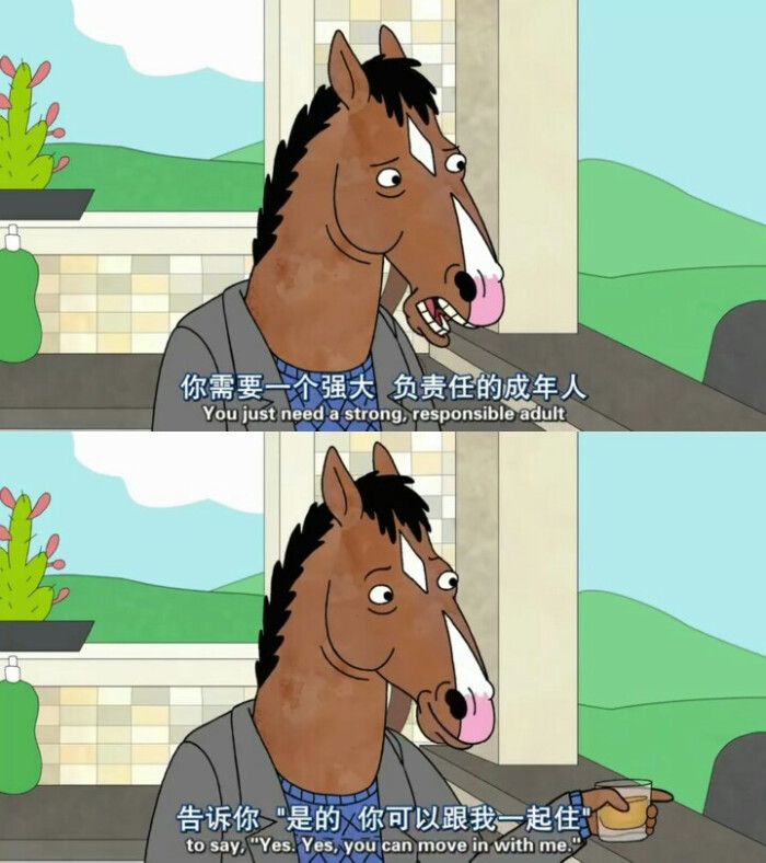 bojack horseman马男波杰克.