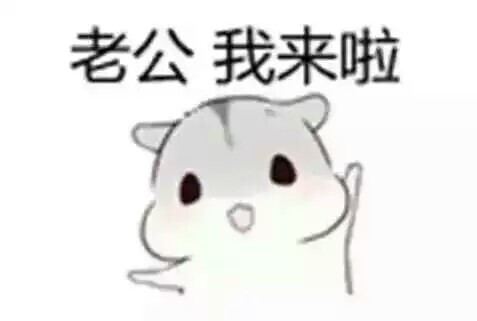 老公我来了