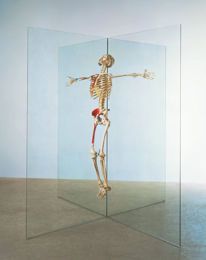 艺术家 damien hirst