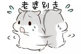 仓鼠球表情包系列老婆