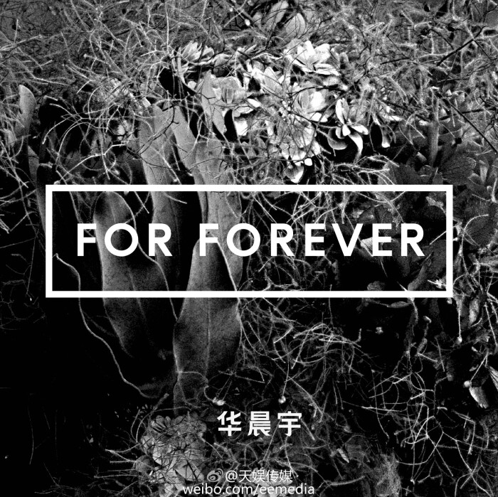 华晨宇forforever# 明天,华晨宇将首发个人首支全英文单歌《for