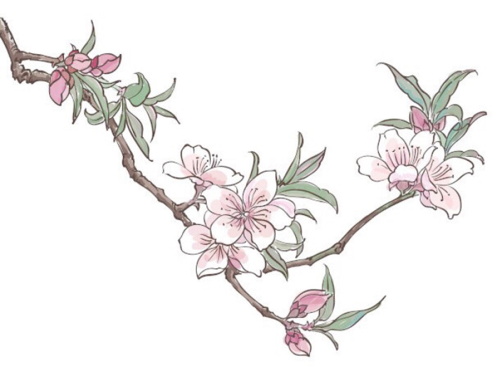 植物百合玫瑰樱花桃花花卉花环图案设计黑白手绘插画纹身图案线稿素材