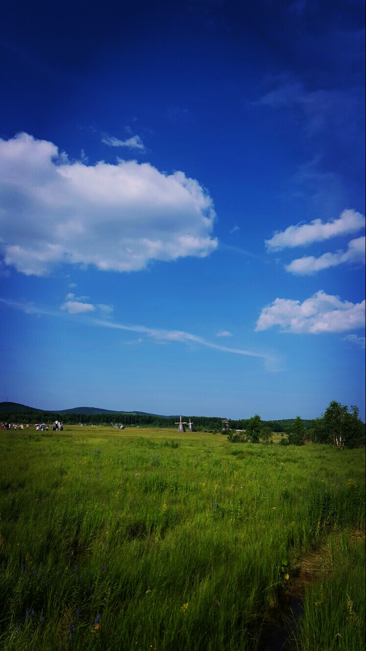蓝天 白云 绿草