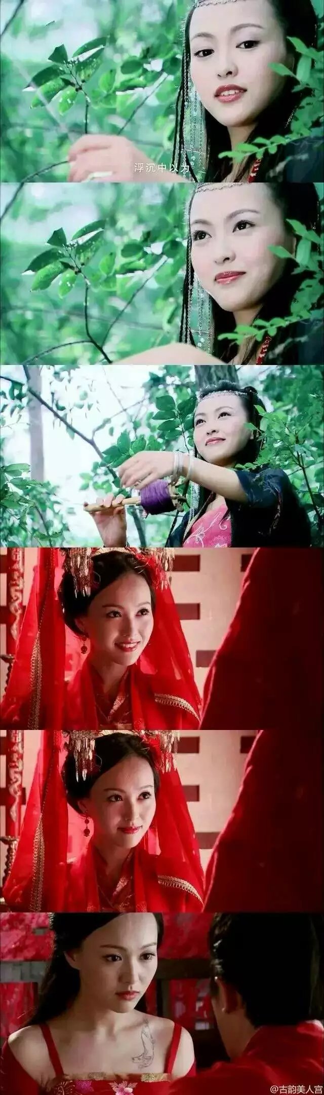三生三世的紫萱
