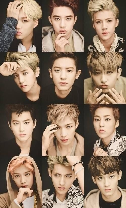we are one 十二只 exo