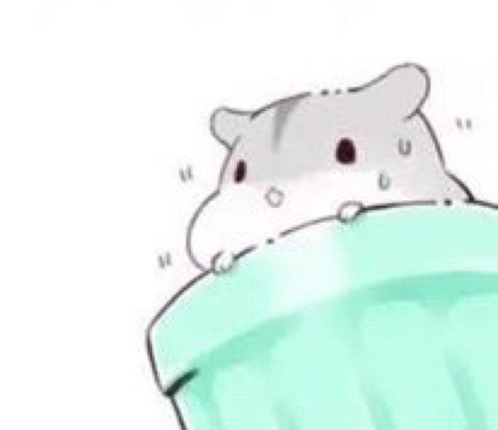 hamham小仓鼠 哟西