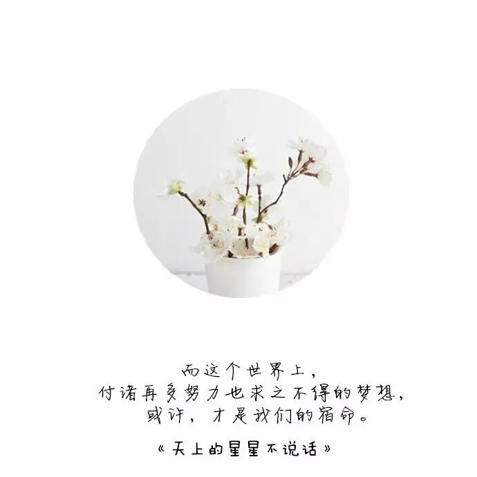 美文61紫薇青春馆