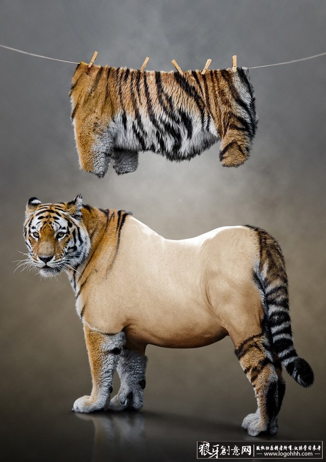 老虎创意广告设计 虎皮大衣元素创意保护动物主题公益广告设计作品