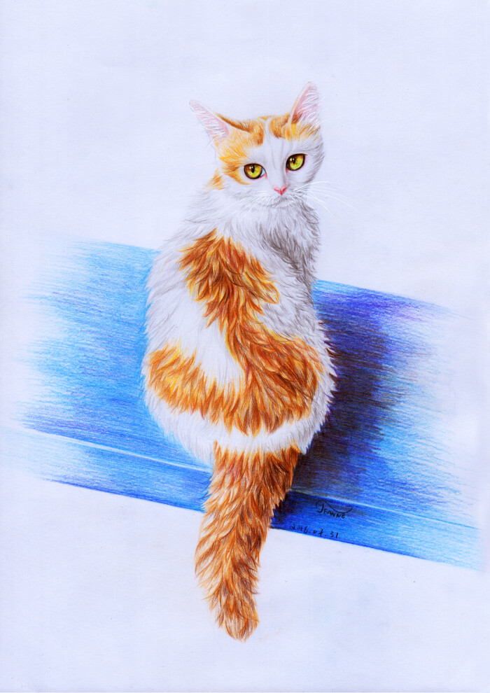 彩铅 猫 手绘