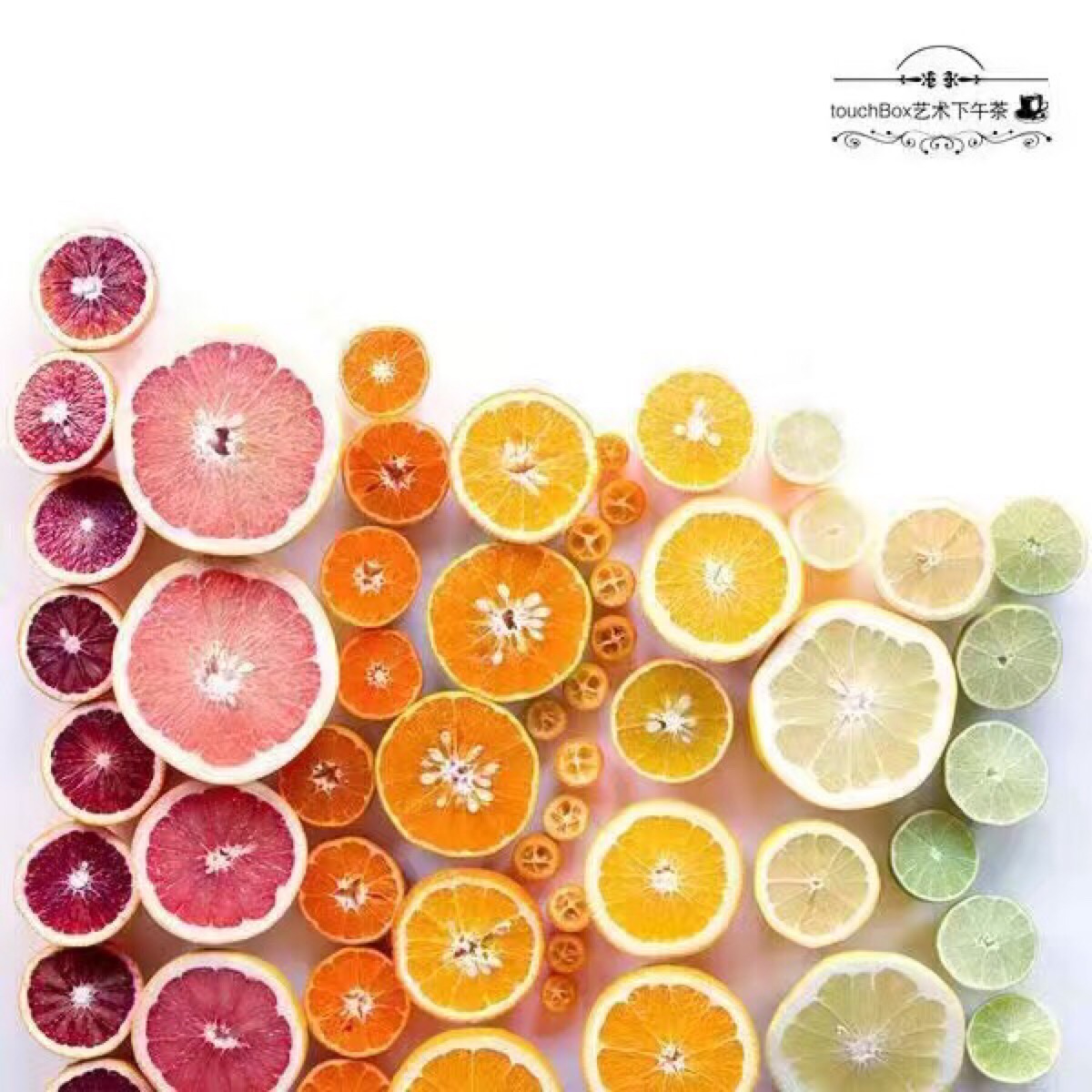 食物梯度艺术#《food gradients》(食物梯度),在纯白色的背景上记录