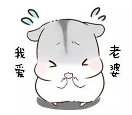 小仓鼠表情包