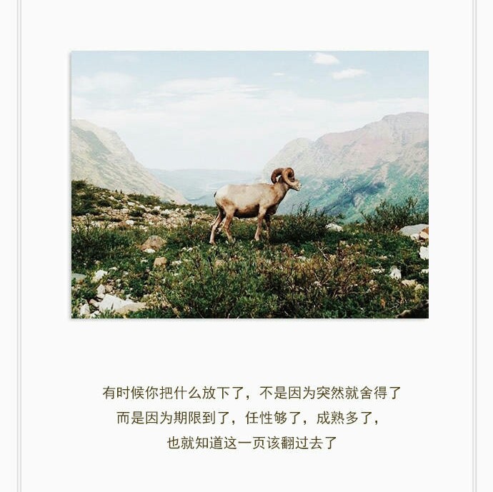 查看源网页