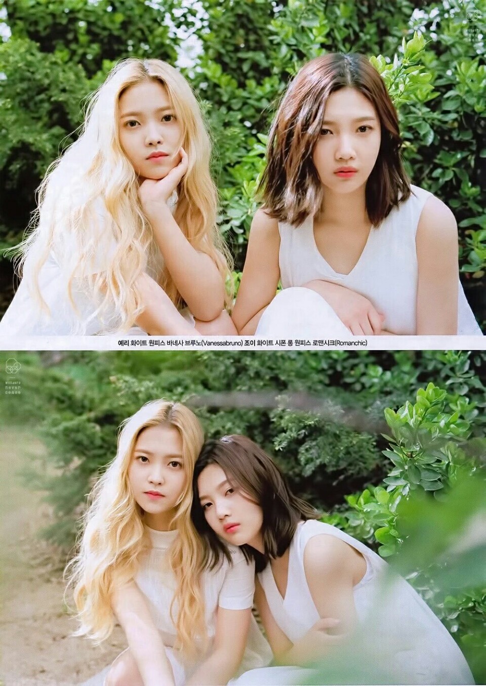 red velvet joy(朴秀荣) yeri(金艺琳)