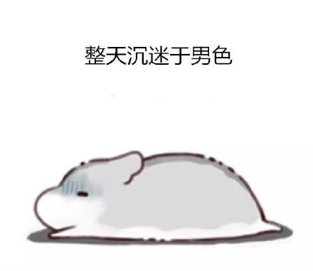 仓鼠君 表情包