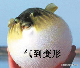气到变形