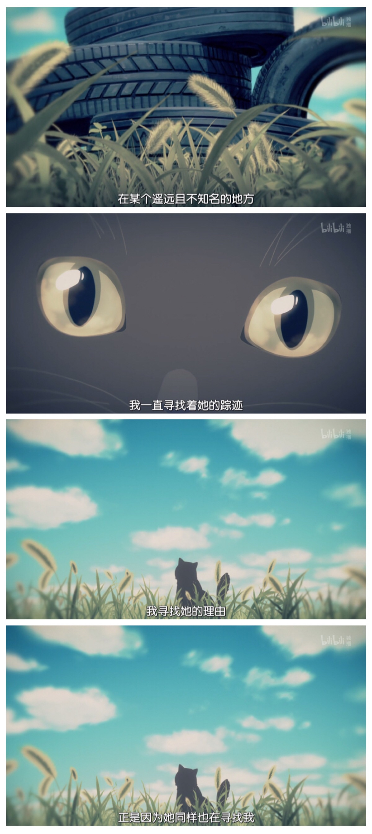 她和她的猫