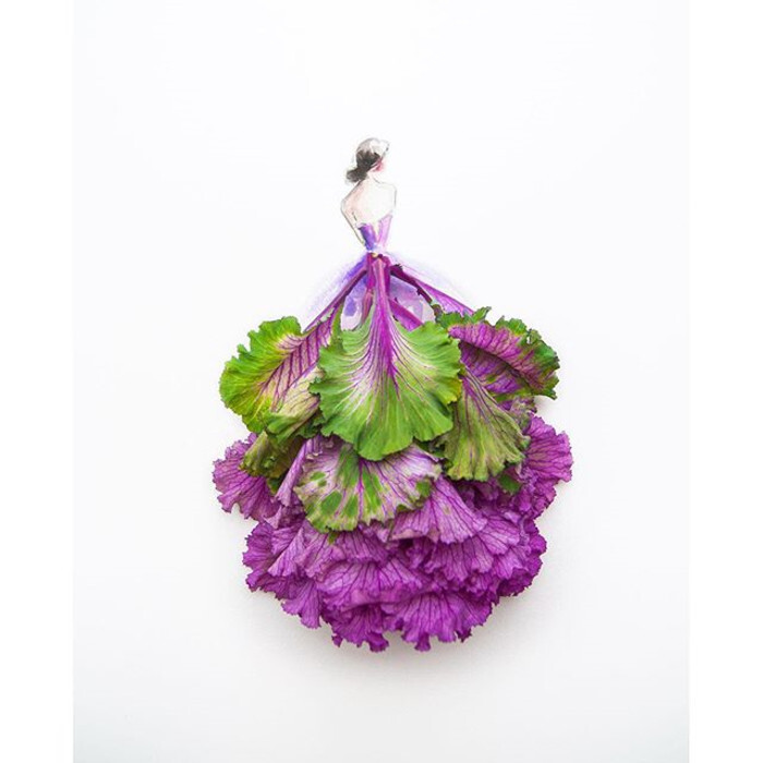 (羽叶甘蓝)来自马来西亚艺术家limzy的花卉创意作品.