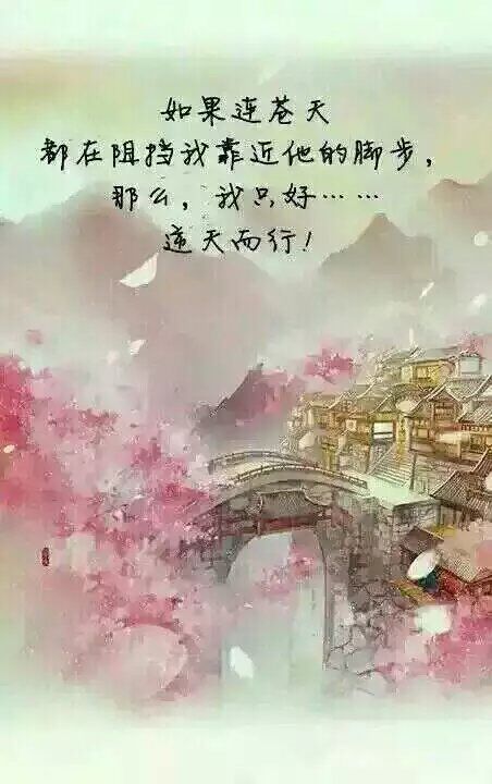 邪王追妻 古风