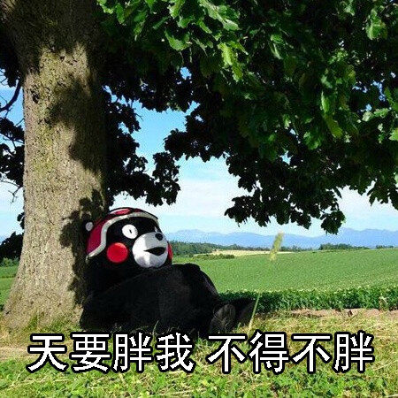 美丑有命,胖瘦在天!