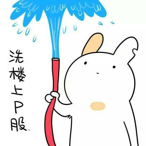 表情包 洗楼上pp