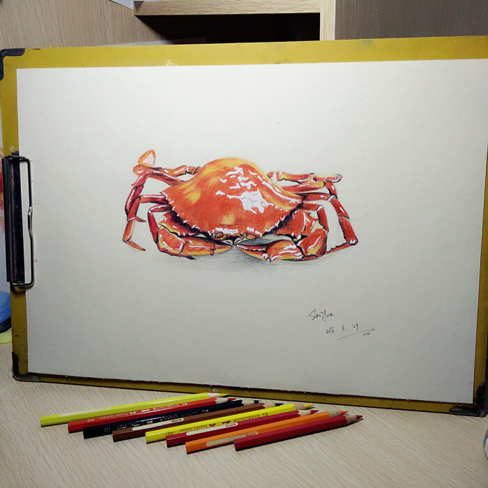 螃蟹蟹蟹蟹蟹~~~手绘 铅笔 彩铅 彩色 可爱 插画 艺术 彩铅螃蟹