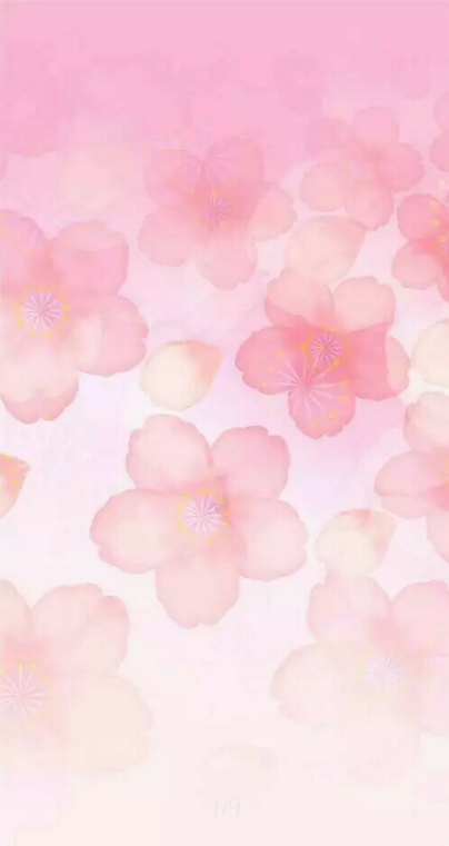 樱花#粉色壁纸#少女系
