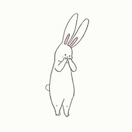 情头小兔子