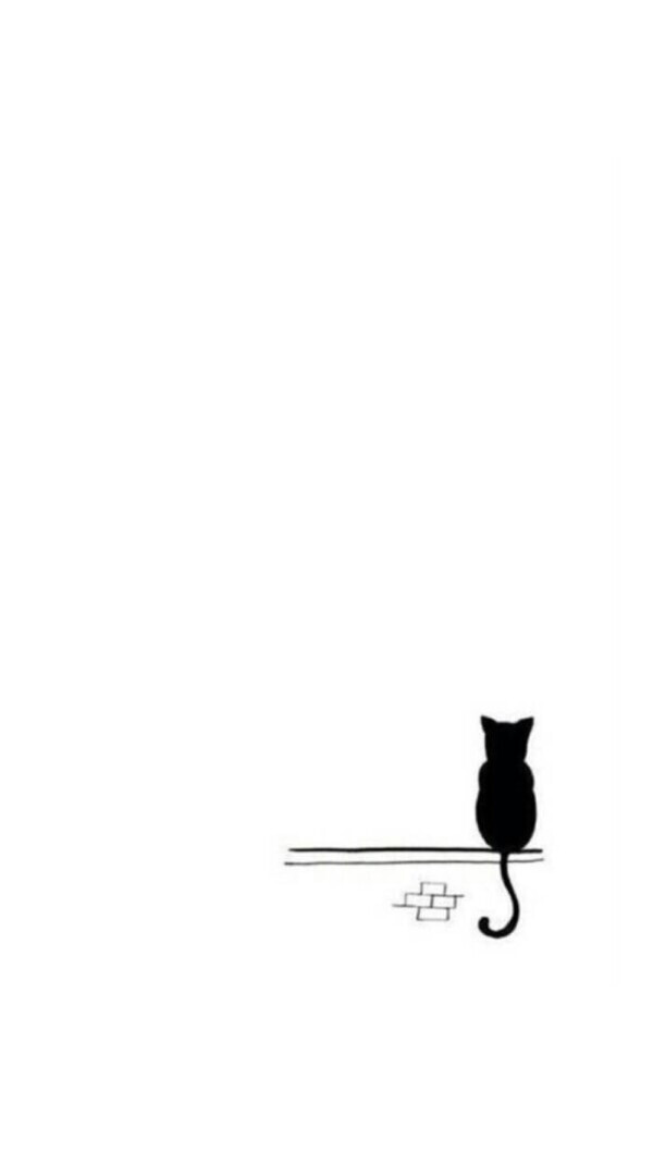 黑白小猫背影可爱收集壁纸