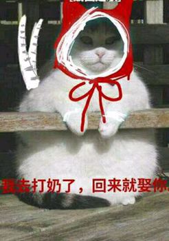 剑网三表情包 明教