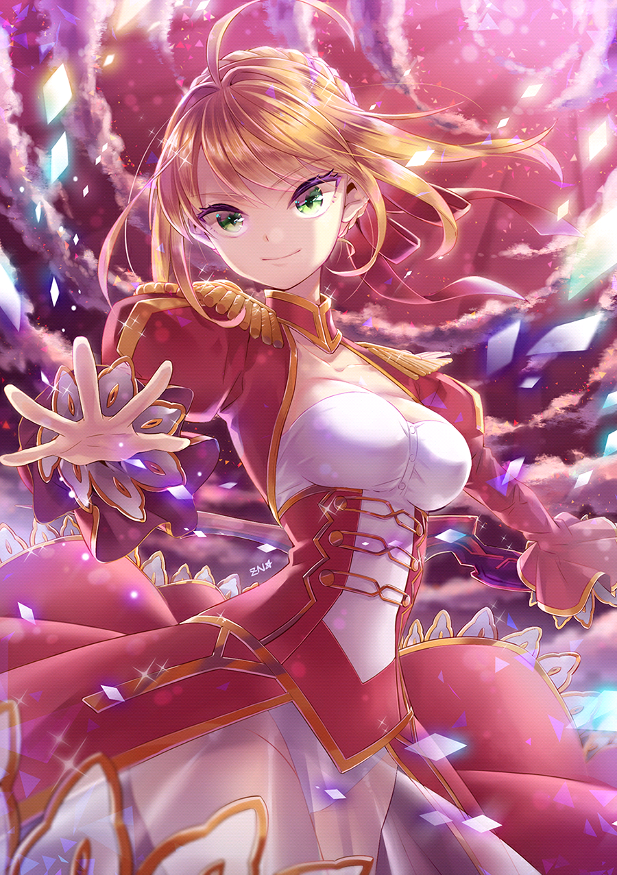 fate extra/ccc/fate grand order 赤saber 尼禄