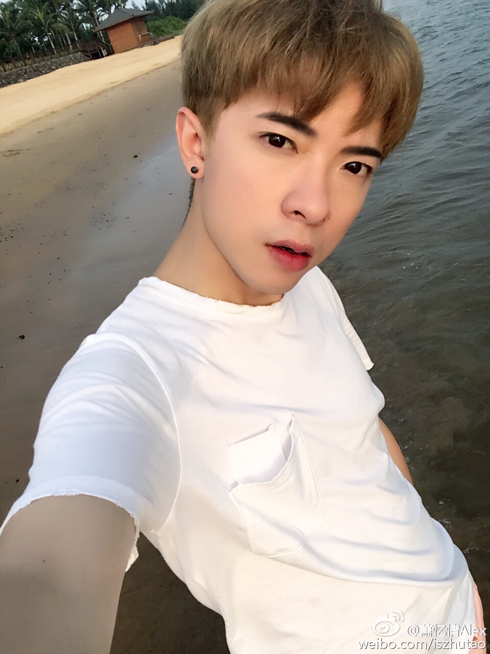 萧忆情alex,仙儿,仙仙,我鸟