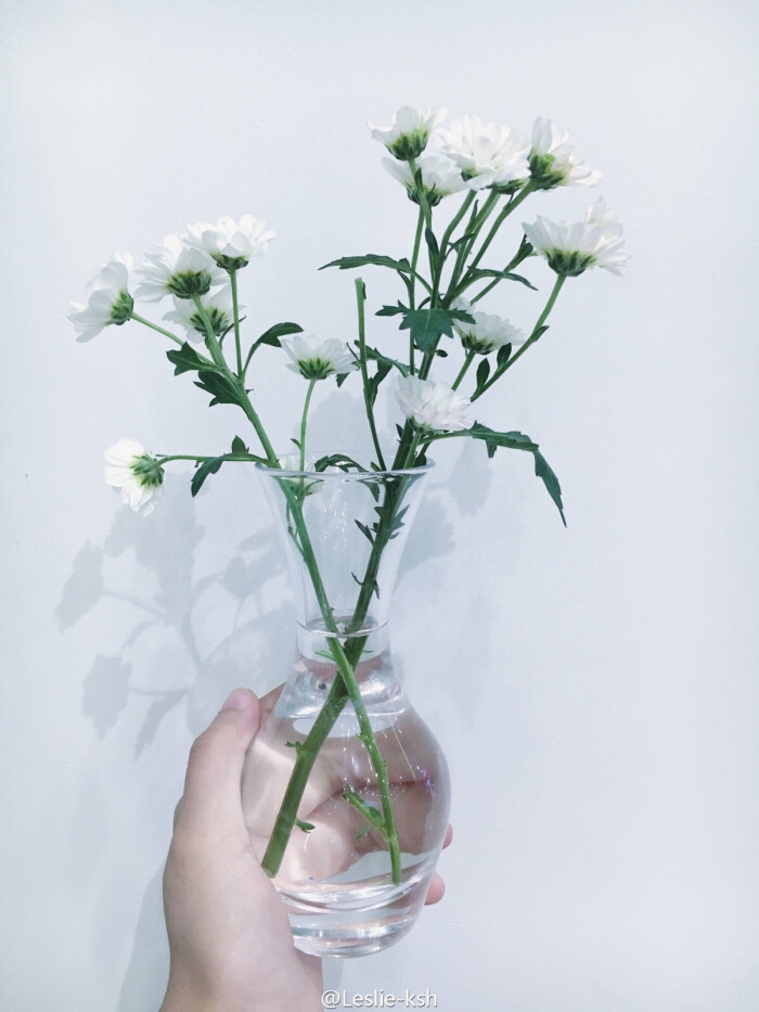 多想把最美的一朵花送给我最亲爱的你