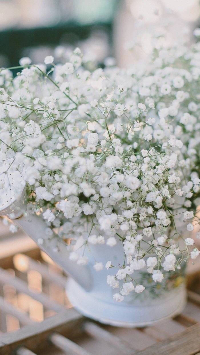 小清新 壁纸 聊天背景图 植物 花草-堆糖,美好生