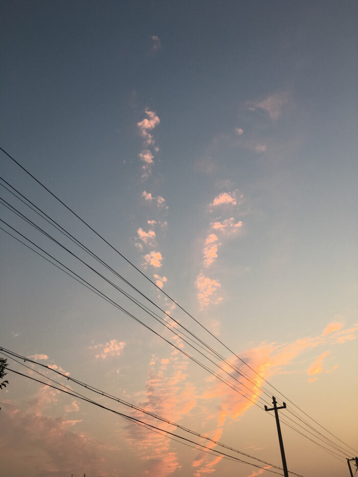 田野夏末初秋天空壁纸