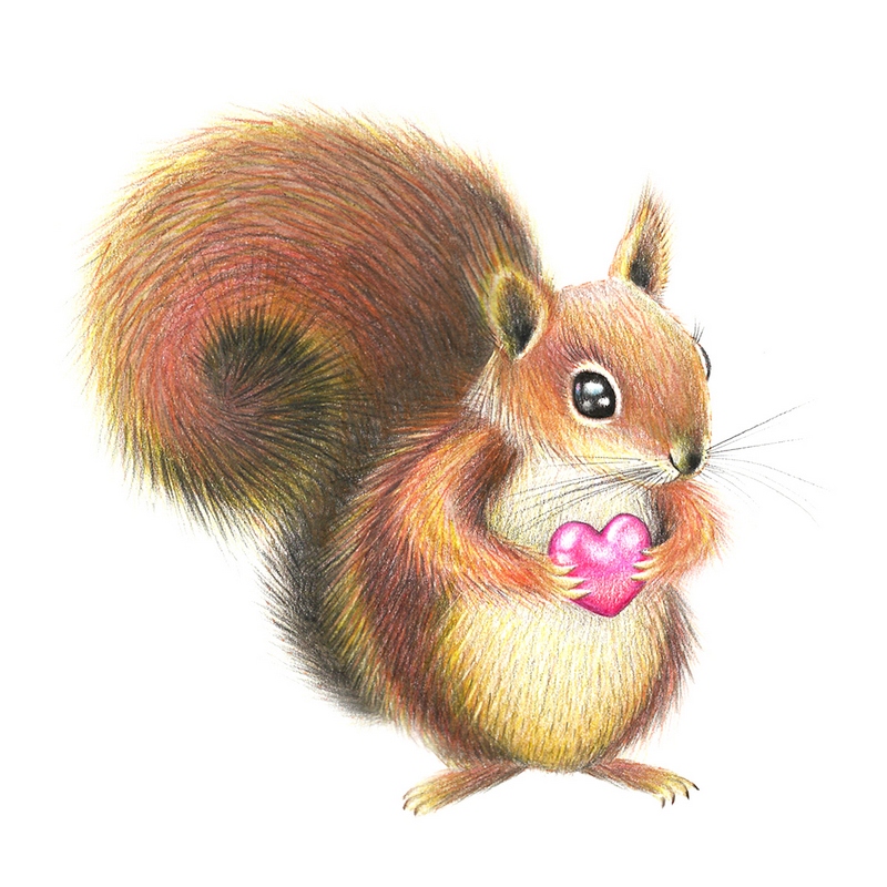 动物 彩铅 插画 by marivilla