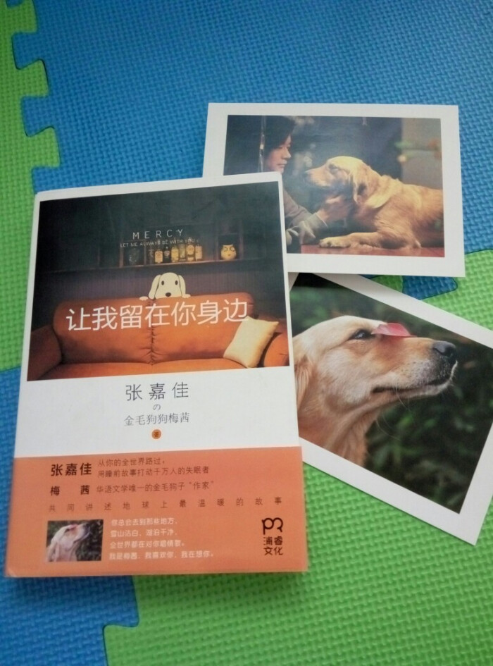 让我留在你身边 堆糖网