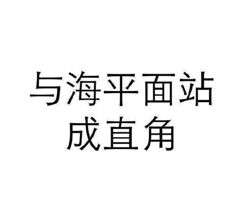 7861【纯文字表情】带字表情包 对方已不想