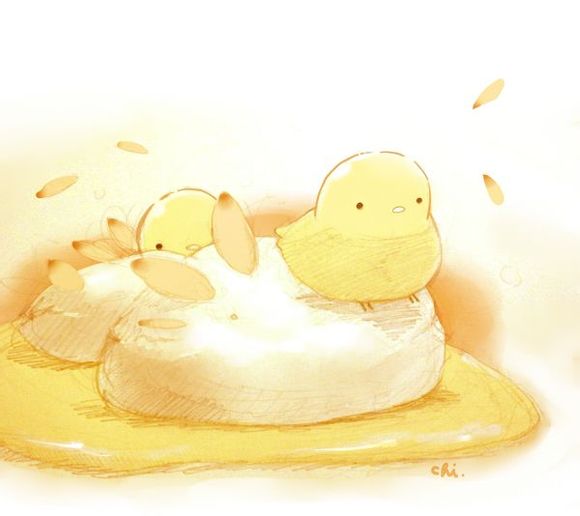 食物萌小鸡
