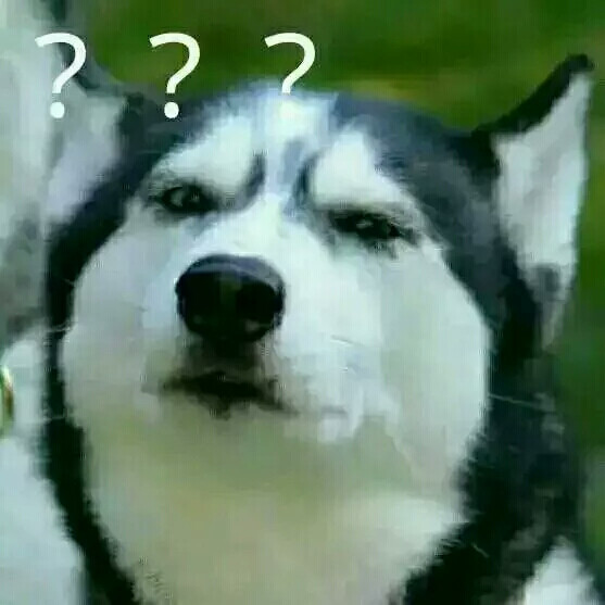 聊天表情 蠢狗问好