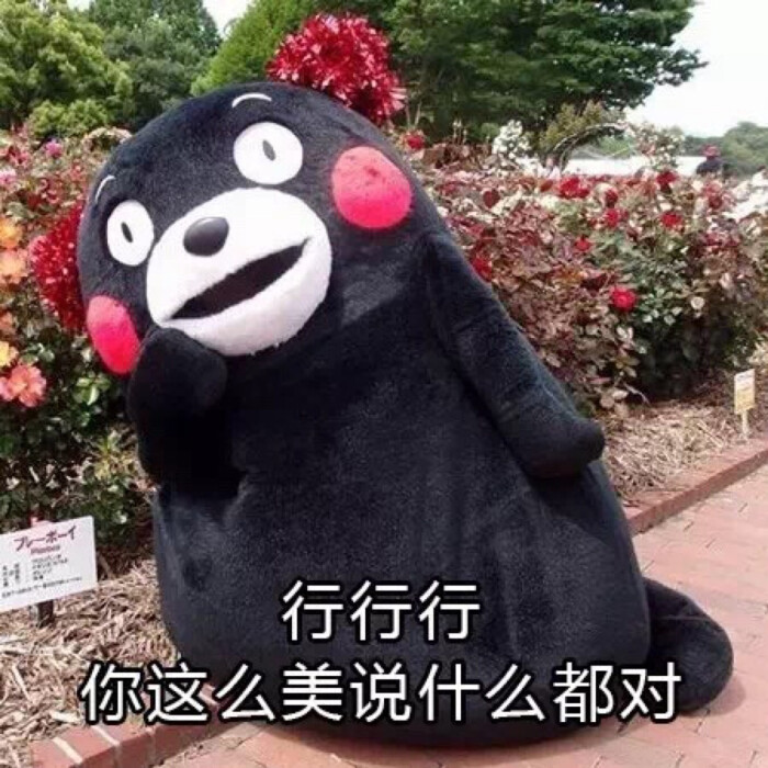 熊本熊表情包
