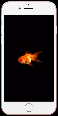 鱼缸 海洋 金鱼 海底 动态 锁屏 livephoto 动图 壁纸