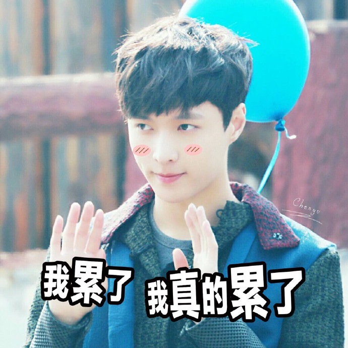 exo 张艺兴 lay 表情包