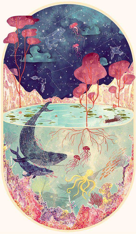如果知道是哪位高人欢迎通知* 鲸鱼 意境 壁纸 插画 水彩 星空 海洋