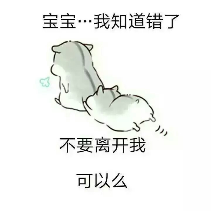 小仓鼠表情包.