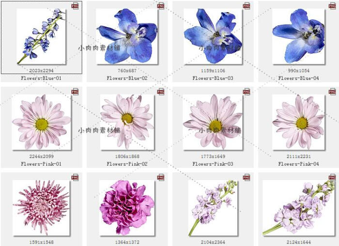 唯美森系优雅写实花卉花朵叶子卡片图案 ai矢量辅助设计素材ai48