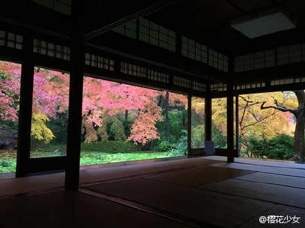 京都秋天的八濑琉璃光院,红枫漫天下古典的…