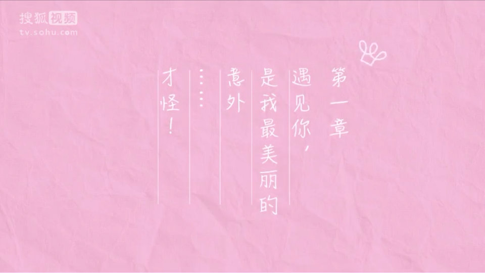 遇见你,是我最美丽的意外……才怪——《亲爱的,公主病》